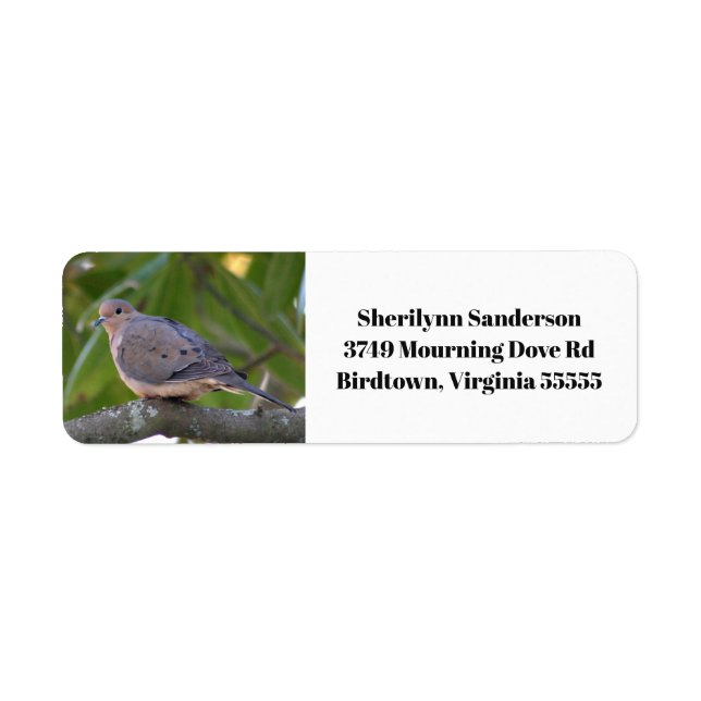Mourning Dove Photo Return Address (Front)