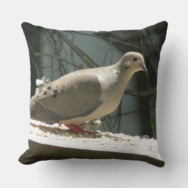 Mourning Dove Throw Pillow (Front)