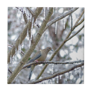 Mourning Dove Tile