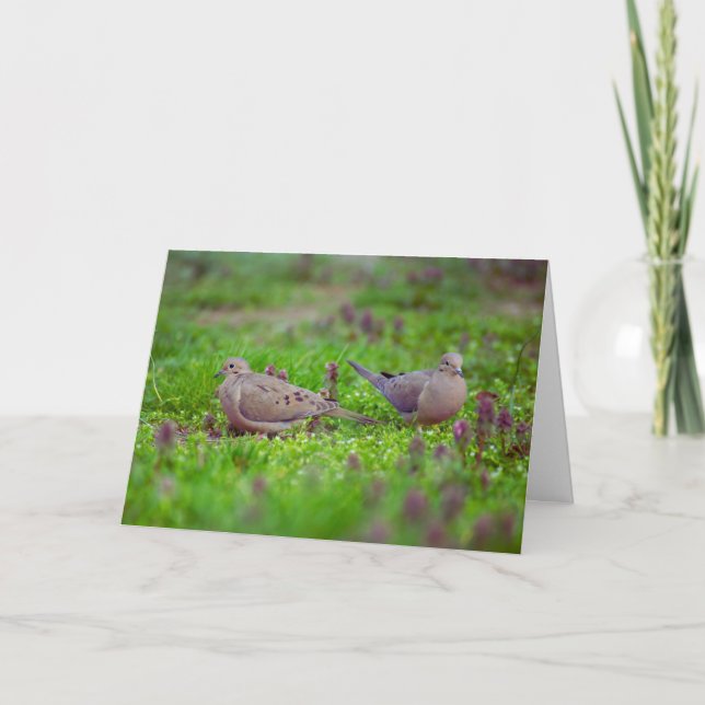 Mourning Doves in Grass Loss of Twin Sympathy Card (Front)