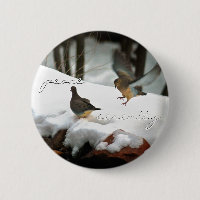 Mourning Doves Photo