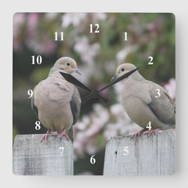 Mourning Doves Photo Square Wall Clock (Front)