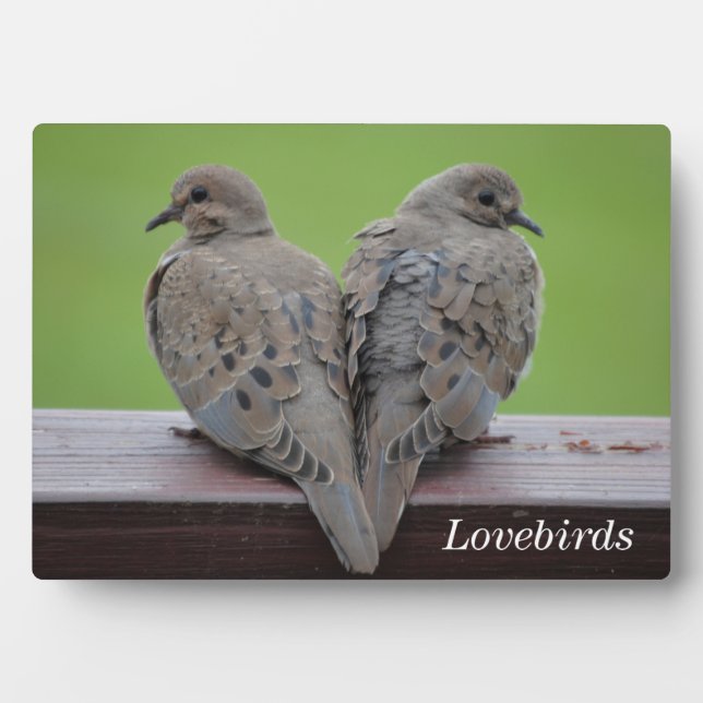 Mourning Doves Plaque (Front)