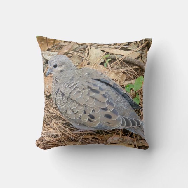 Mourning Doves Throw Pillow (Front)