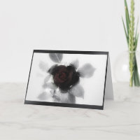 Mourning Memory Rose