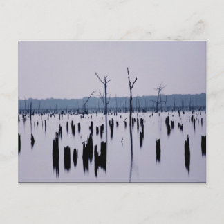 "Mourning Morning" - Postcard