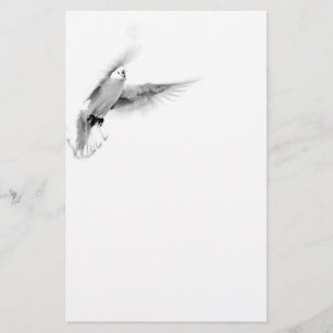 mourning paper dove