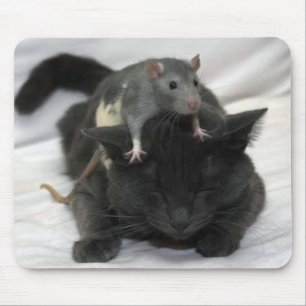 Mouse and cat mouse pad