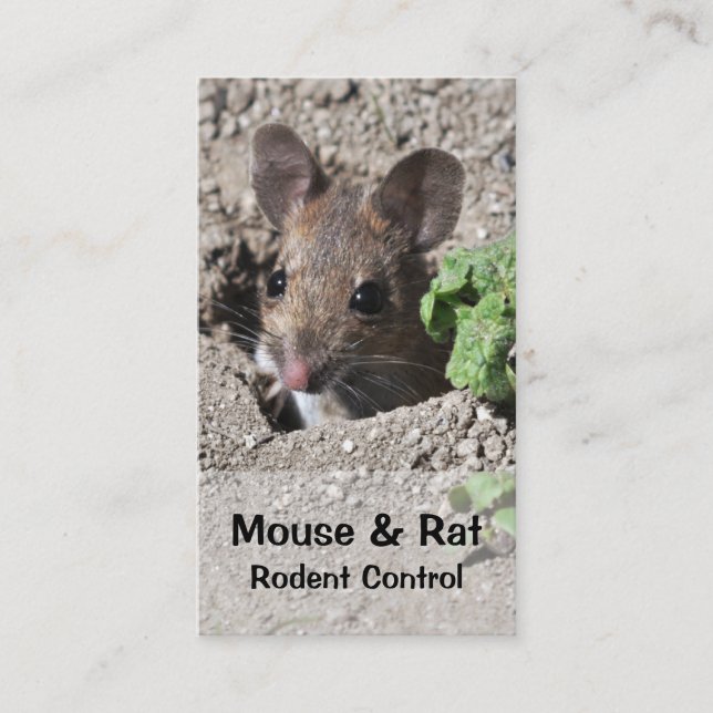 Mouse and rat pest control business card (Front)