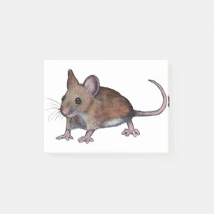 MOUSE, Brown Field Mouse Illustration Post-it Notes