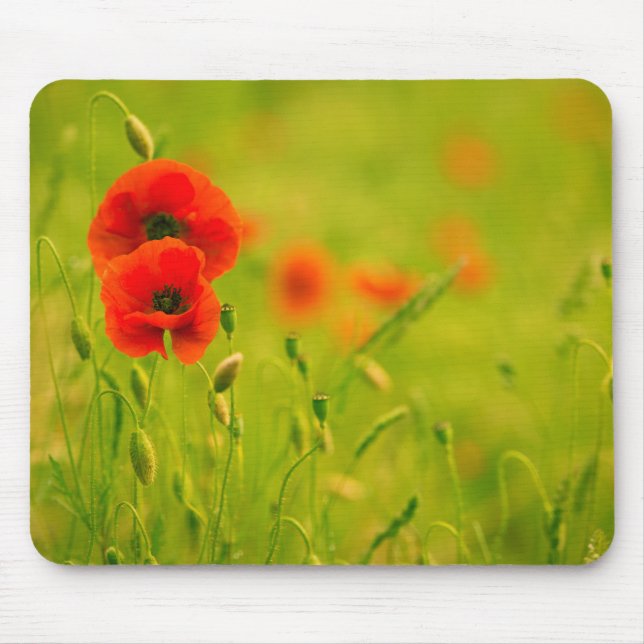 Mouse carpets, spring and poppy flowers pad (Front)