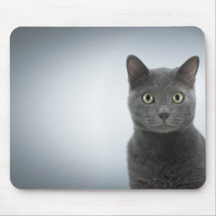 Mouse cat pad