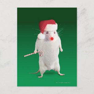 Mouse dressed as Santa Claus Holiday Postcard