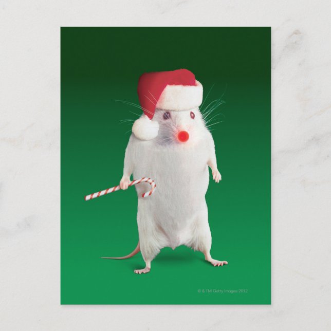Mouse dressed as Santa Claus Holiday Postcard (Front)