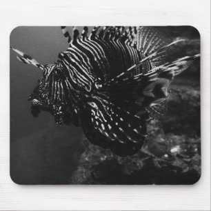Mouse Like Fish Pad