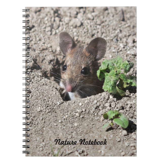 Mouse notebook (Front)