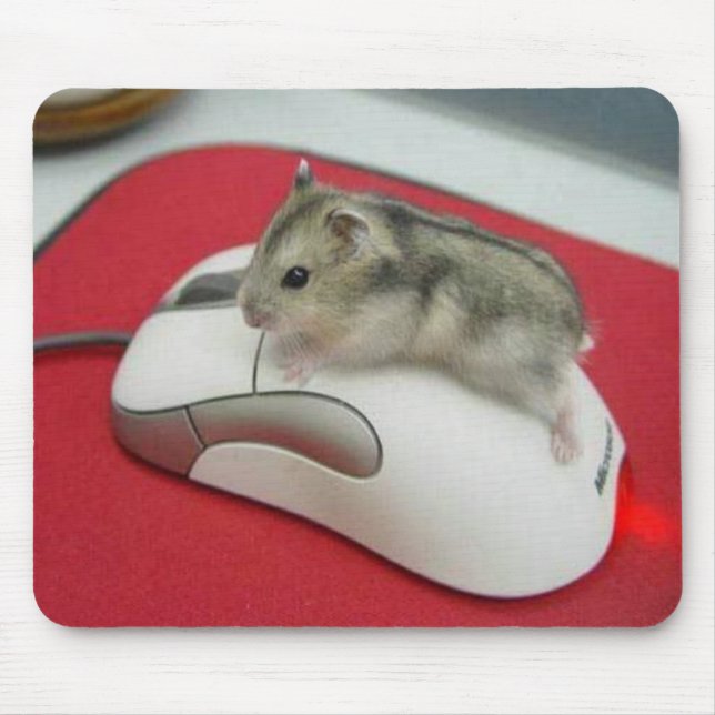 Mouse On A Mouse Mousepad (Front)