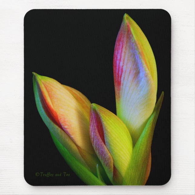 Mouse Pad (Front)