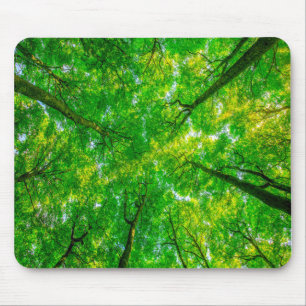 Mouse pad