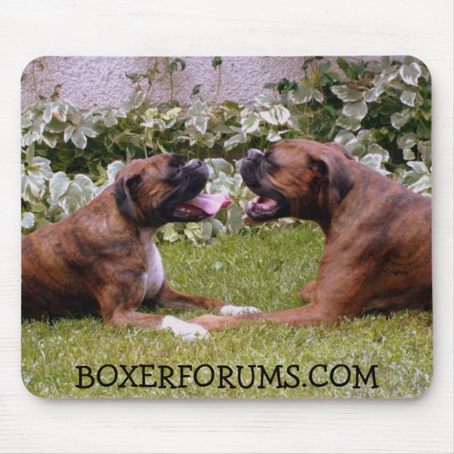 Mouse Pad (Front)