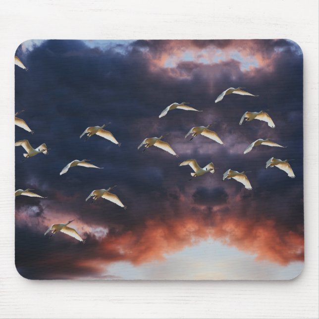 Mouse pad (Front)