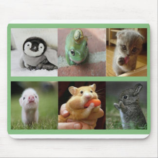 Mouse Pad-Adorable Animals Mouse Pad