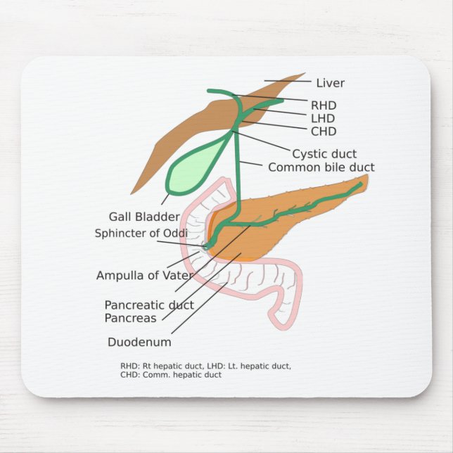 Mouse Pad Biliary System Diagram Chart Liver (Front)