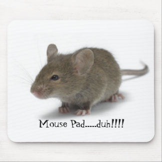 Mouse Pad.....duh!!!! Pad