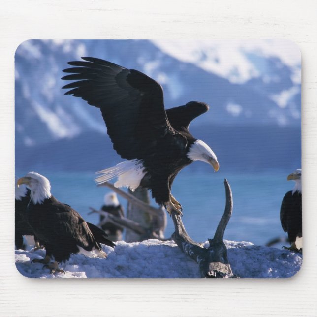Mouse Pad-Eagles Mouse Pad (Front)