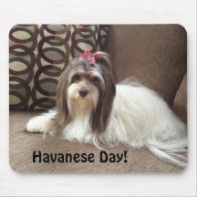 Mouse Pad for Havanese Dog Lovers: Havanese Day!