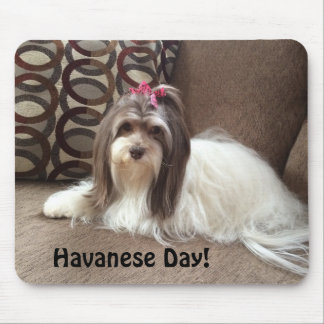 Mouse Pad for Havanese Dog Lovers: Havanese Day!