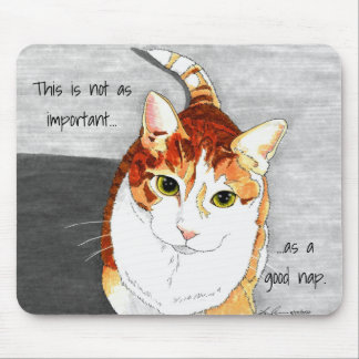 Mouse Pad: Good Nap Mouse Pad