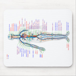 Mouse Pad Human Circulatory System Arteries