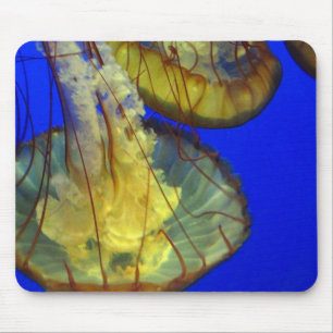 Mouse Pad - Jellyfish