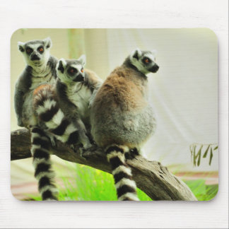 Mouse Pad - Lemur-Ring Tailed