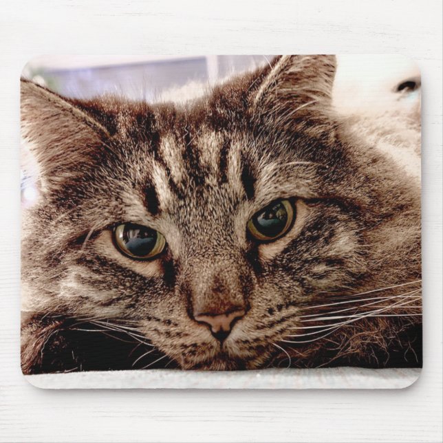 Mouse Pad Maine Coon Cat (Front)