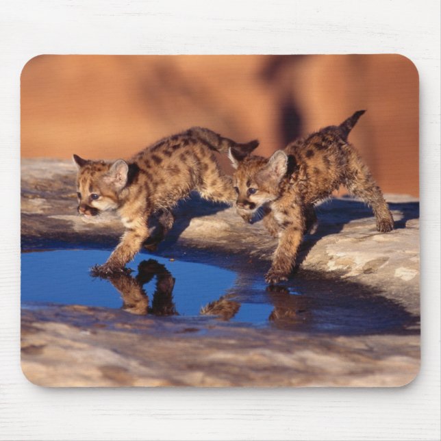 Mouse Pad-Mountain Lion Cubs Mouse Pad (Front)