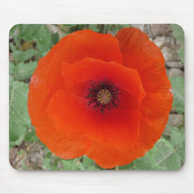 Mouse Pad. Poppy (Poppy) Pad (Front)