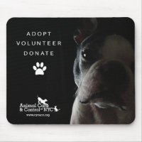 Mouse Pad "Quietly watching"