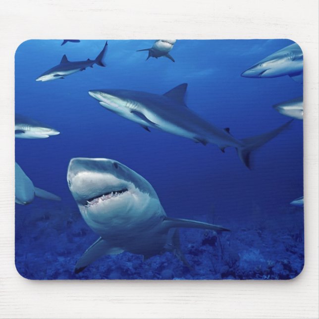 Mouse Pad-Sharks Mouse Pad (Front)