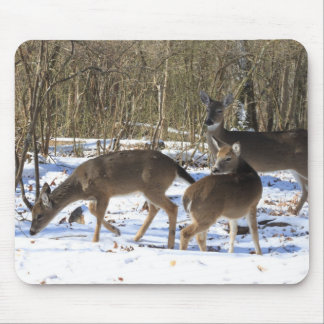 Mouse Pad - Whitetail Deer