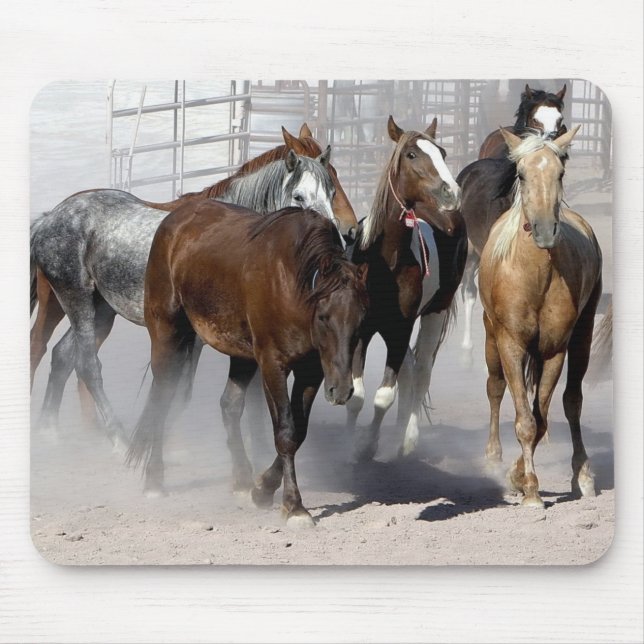 Mouse pad wild mustangs of Nevada (Front)