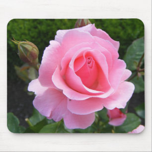 Mouse pad with beautiful pink rose