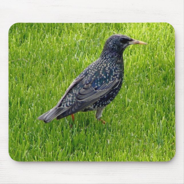 Mouse pad with bird (Front)