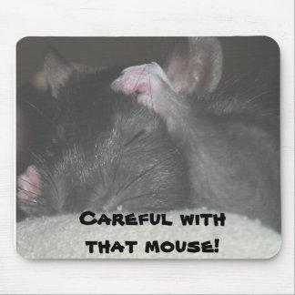 Mouse pad with mouse