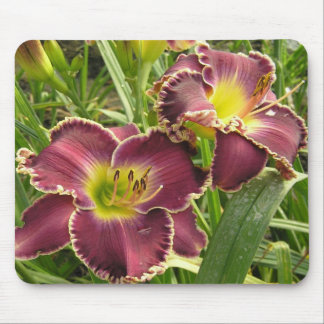Mouse Pad with Pair of Purple Daylilies