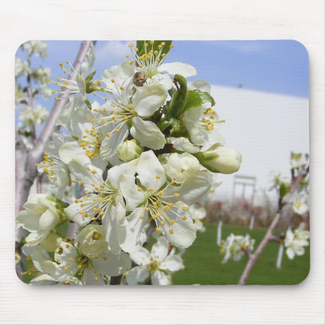 Mouse pad with spring flower (Front)