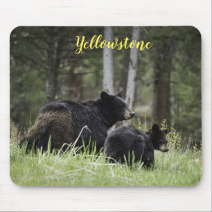 Mouse Pad-Yellowstone Bear Pad