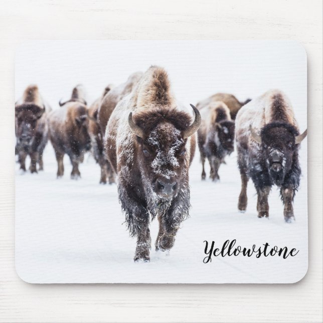 Mouse Pad-Yellowstone Buffalo Pad (Front)