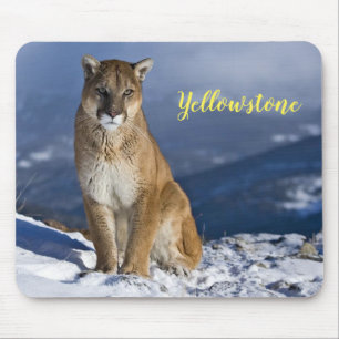 Mouse Pad-Yellowstone Mountain Lion Pad